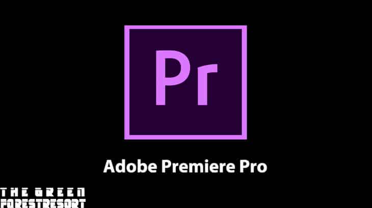1. Adobe Premiere Proffesional