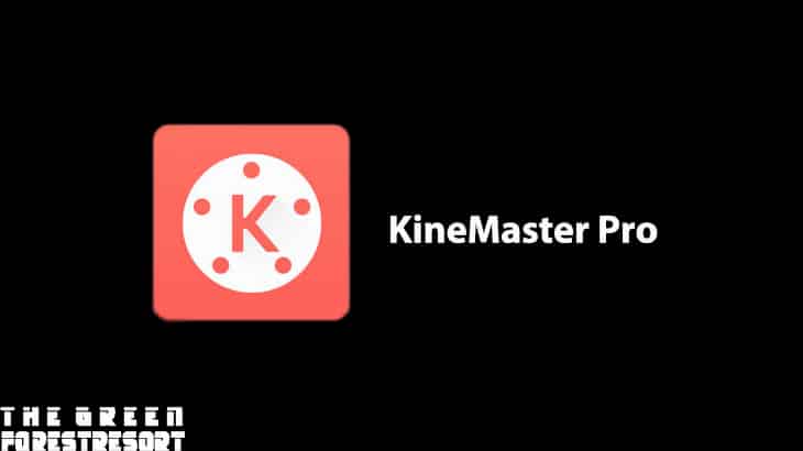 4. KineMaster Pro