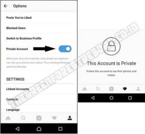 Cara Mudah Melihat Profil IG Yang Private Tanpa Follow