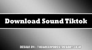 Download Sound Tiktok