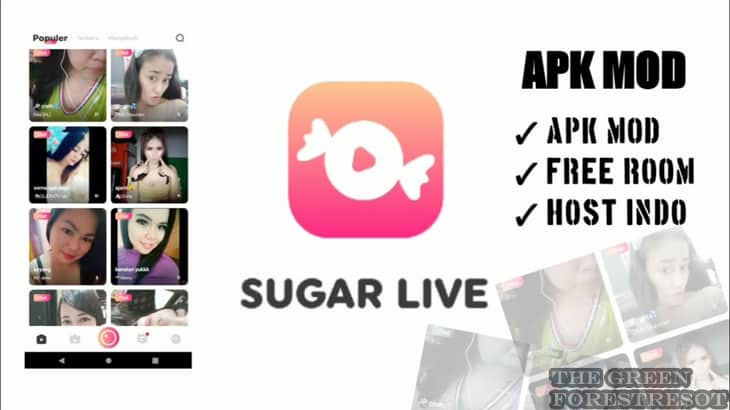 Fitur Unggulan Sugar Live Mod Apk