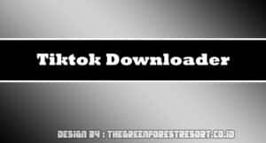 Tiktok Downloader