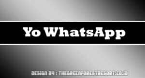 Yo WhatsApp