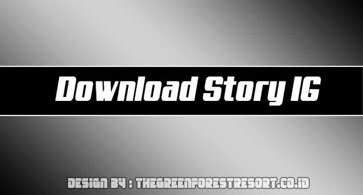 download story ig