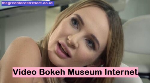 bokeh internet museum