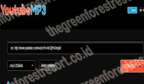 YouTube to MP3 & MP4 Online Converter