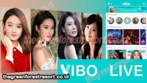 Review Vibo Live Mod APK