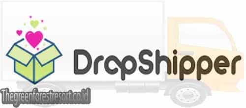 Bisnis Dropshipper