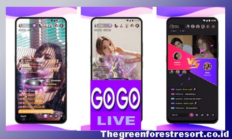 Download GOGO Live China Mod Apk