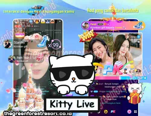 Download & Instal Kitty Live Unlimited Coins