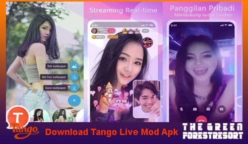 Download Tango Live Mod Apk