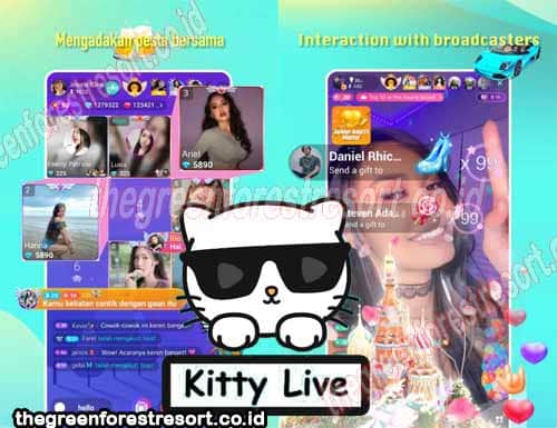 Fitur Mod Kitty Live Apk
