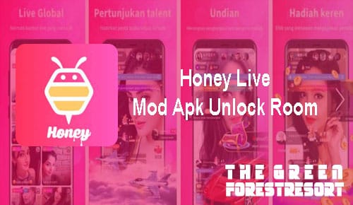 Honey Live Unlock Room