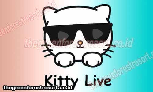 Kitty Live Mod Apk Review