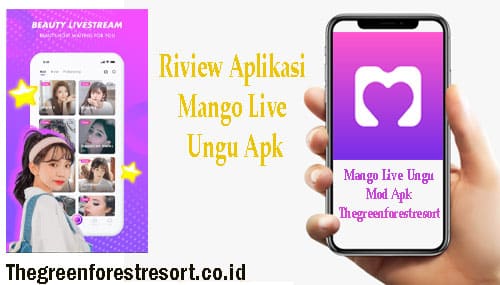 Riview Aplikasi Mango Live Ungu Apk