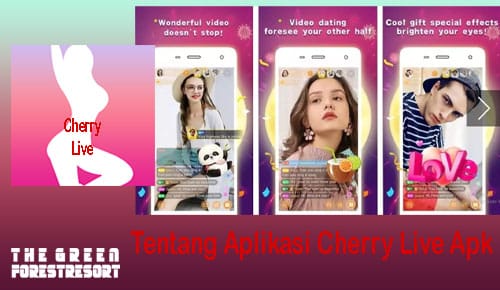 Tentang Aplikasi Cherry Live Apk