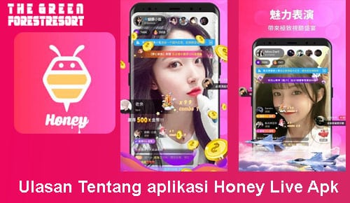Ulasan Tentang aplikasi Honey Live Apk