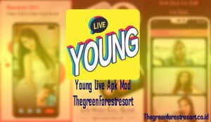 Young Live Apk Mod